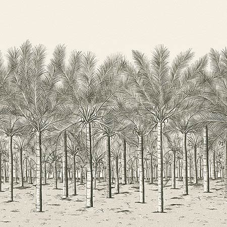 TM13950 PALM GROVE MURAL Black Tea Thibaut Wallpaper