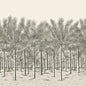 TM13950 PALM GROVE MURAL Black Tea Thibaut Wallpaper