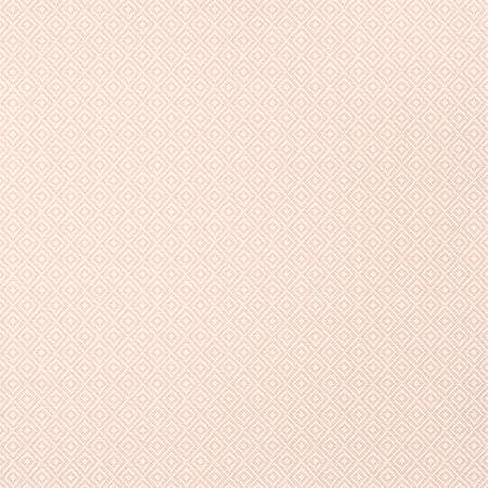 TWW14540 RIMBA WIDE WIDTH Blush Thibaut Wallpaper