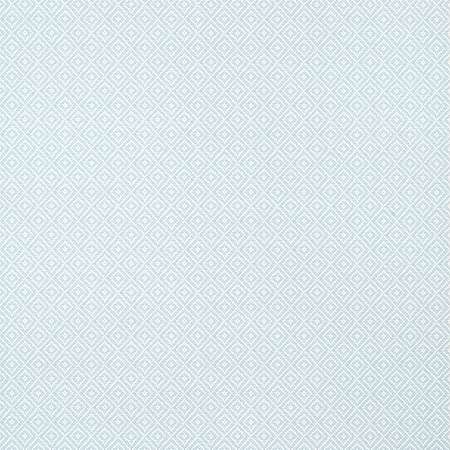 TWW14541 RIMBA WIDE WIDTH Ice Thibaut Wallpaper