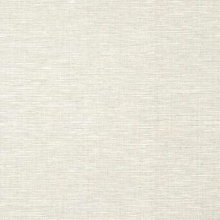 TWW14561 SPIRO WIDE WIDTH Off White Thibaut Wallpaper