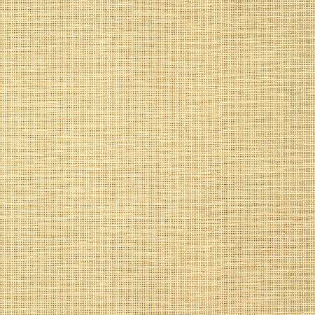 TWW14564 SPIRO WIDE WIDTH Straw Thibaut Wallpaper