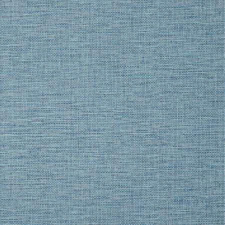 TWW14568 SPIRO WIDE WIDTH Blue Thibaut Wallpaper