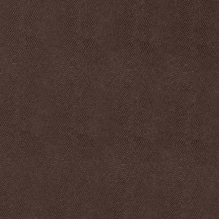 V607 Hickory Charlotte Fabric