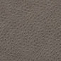 V617 Pewter Charlotte Fabric