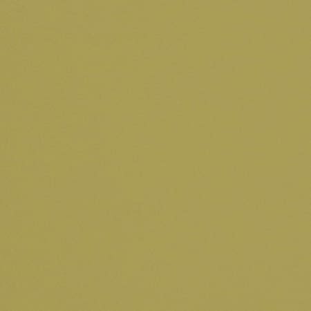 V668 Pear Charlotte Fabric