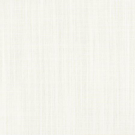 W8551 RIMINI Parchment Thibaut Fabric