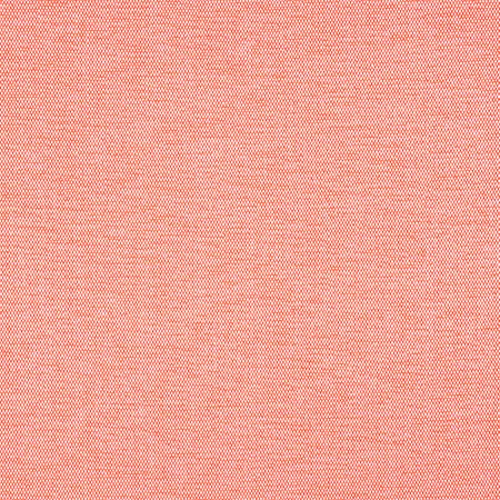 W8595 CLARA Coral Thibaut Fabric