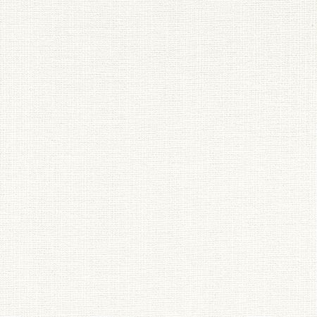 W8752 SACCHI Snow White Thibaut Fabric