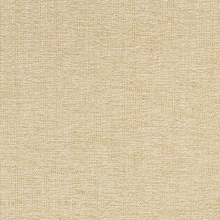 W8756 SACCHI Caramel Thibaut Fabric