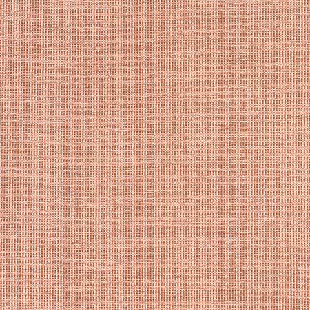 W8761 SACCHI Terracotta Thibaut Fabric