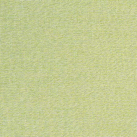 W8763 SACCHI Leaf Thibaut Fabric