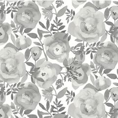 ASTM3906 Blooming Floral Dove Grey Wall Mural Brewster Wallpaper