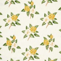 180912 CASABLANCA FLORAL INDOOR OUTDOOR Pale Yellow Schumacher Fabric