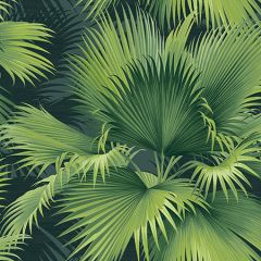 2927-40104 Summer Palm Dark Green Tropical Brewster Wallpaper