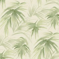 2964-87413 Darlana Grasscloth Green Brewster Wallpaper