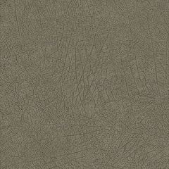 300514 Latigo Olive Leather Brewster Wallpaper