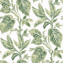 3120-13621 Mangrove Botanical Green Brewster Wallpaper