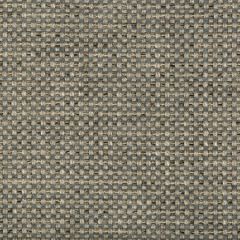 35653-11 Kravet Fabric