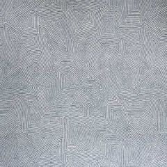35849-15 DENDERA Chambray Kravet Fabric