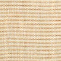 35866-1424 RIVER PARK Butterscotch Kravet Fabric