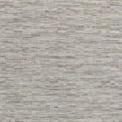 36050-115 NONI TEXTURE Platinum Kravet Fabric