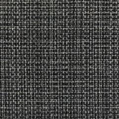 36102-81 RUE CAMBON Noir Kravet Fabric