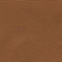 6200-21 SUNCLOTH CANVAS Cinnamon Quadrille Fabric