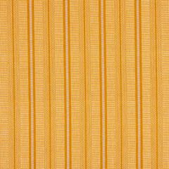78851 PANAN HAND WOVEN STRIPE Mostaza Schumacher Fabric