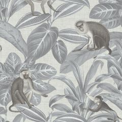 8188 52W9081 JF Fabrics Wallpaper