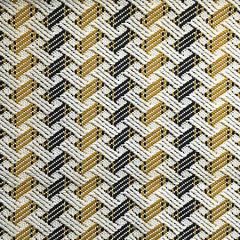 A9 0001 TIEB TIEBELE Golden Rod Scalamandre Fabric