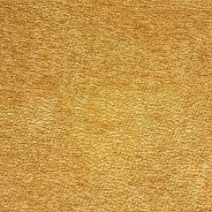 A9 0003 PULP PULP ASTRAKAN Golden Yellow Scalamandre Fabric