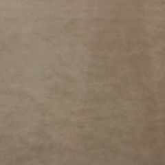 A9 0004 9300 PROJECT WATER REPELLENT Taupe Scalamandre Fabric