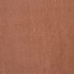 A9 0005 2800 RESISTANCE EASY CLEAN FR Ash Rose Scalamandre Fabric