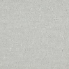 A9 0006 1600 AMBIANCE FR Sterling Scalamandre Fabric