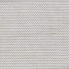 AM100331-1111 MOLFETTA String Kravet Fabric