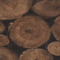 AMW10009-86 LUMBERJACK Timber Kravet Wallpaper