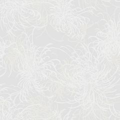 AW71500 Noell Floral Off-White Seabrook Wallpaper