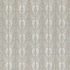 B8 0008 PARO PARANOA Frost Scalamandre Fabric