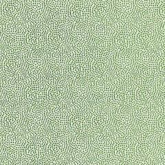 BI 0003 1234 FLURRY Leaf Scalamandre Fabric
