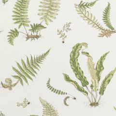 BW45044-10 Ferns Leaf GP & J Baker Wallpaper
