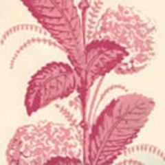 303306WP CLIMBING HYDRANGEA Pink On Almost White Quadrille Wallpaper