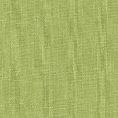 COMMENCEMENT Apple Green Carole Fabric