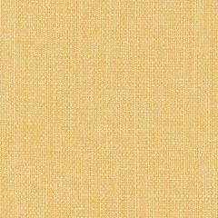 COMMENCEMENT Jonquil Carole Fabric