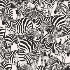 DD347453 Jemima Zebra Black Brewster Wallpaper