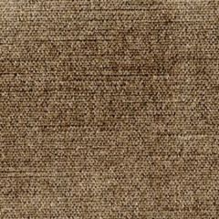 DG-10126-019 GINGER Electric Slide Gray Donghia Fabric
