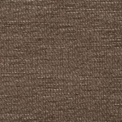 DG-10301-018 IGNEOUS Brown Donghia Fabric