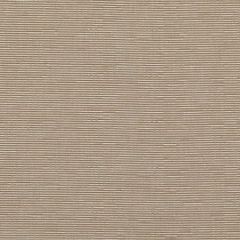 ED85321-190 ESSENCE Sisal Threads Fabric