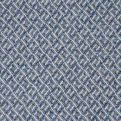 F3587 Cobalt Greenhouse Fabric