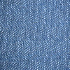 F3595 Blue Greenhouse Fabric